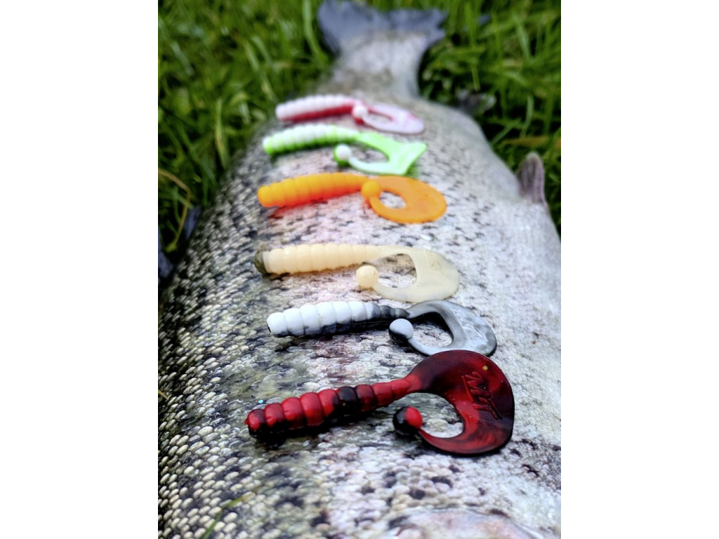 MagicTrout04G35CMCurlyBBobblesWhiteBlackGarlic10stk-01