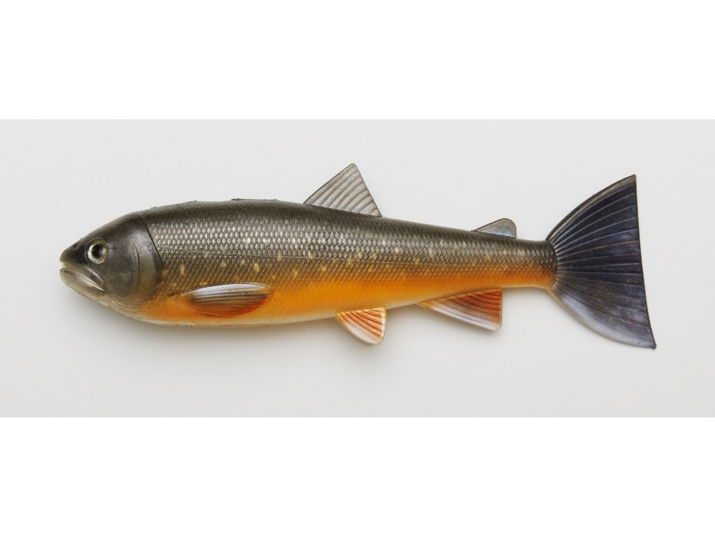 Pulz Bait Starter Kit Trout 15cm - Arctic Char