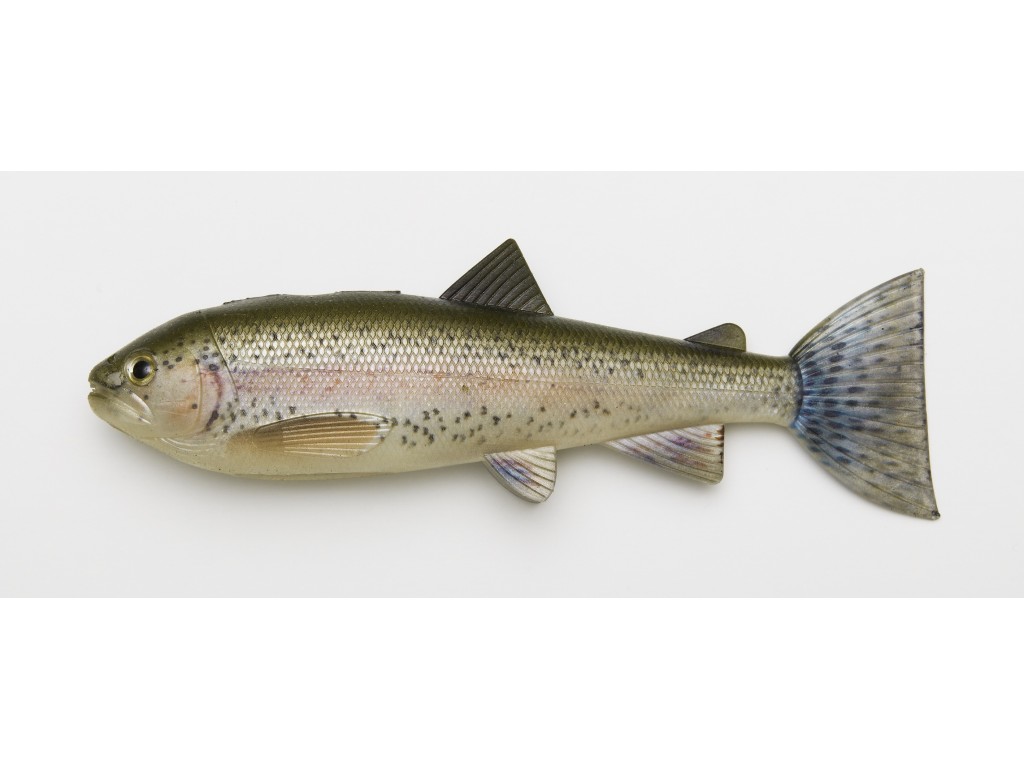 Pulz Bait Skinz Trout 15cm 2Pcs - Rainbow Trout