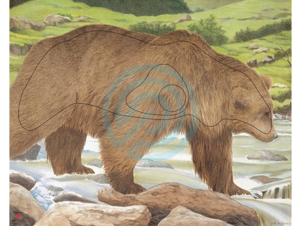 Face Animal Bear