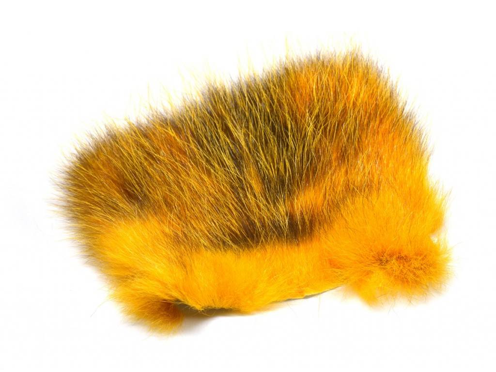 FutureFly - American Opossum Sun Burst 