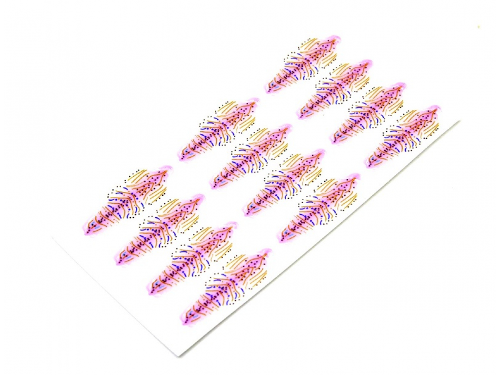 FutureFly - Shrimp Shells Medium Pink 