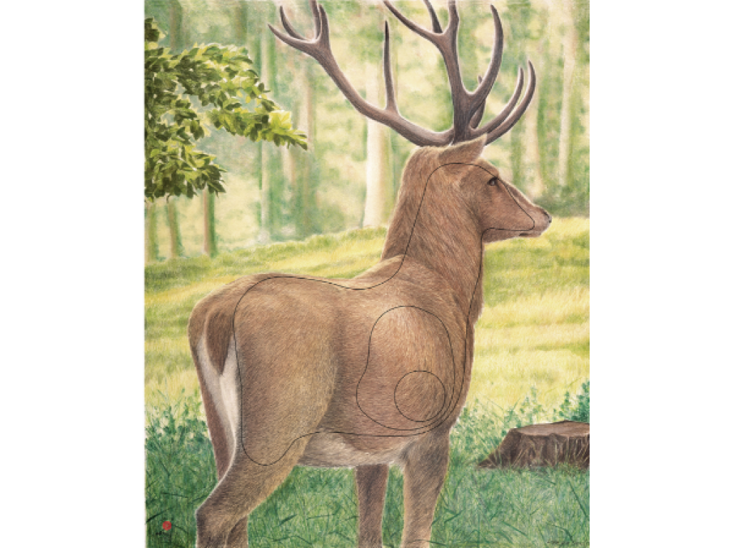 JVD Target Face Animal Stor Hjort