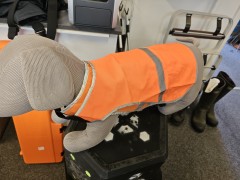 TMNHUNTINGKEVLERSIKKERHEDSVETORANGE-20