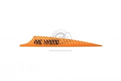 AAEHYBRIDPHNXSunsetGold50PK-20