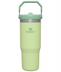 StanleyIceFlowFlipStrawTumbler089LCitron-20