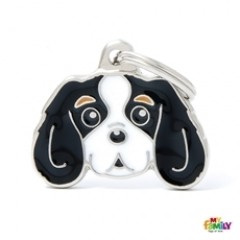 MyFamilyTRICOLORCAVALIERKINGsort-20