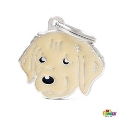 MyFamilyGOLDENRETRIEVER-20