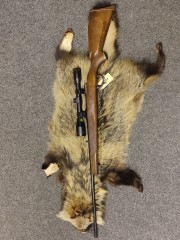 BrugtParkerHaleRiffelKal243Win-20