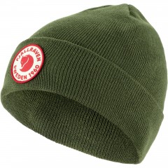 FjllrvenKids1960LogoHatOnesizeCaperGreen-20