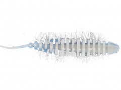 WestinNeedleBug65cmBabyBlueWhiteGarlicCheese5stk-20