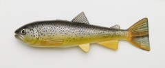 PulzBaitStarterKitTrout15cmBrownTrout-20