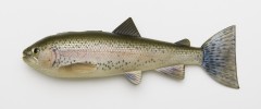 PulzBaitSkinzTrout15cm2PcsRainbowTrout-20