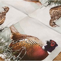 ByBrorsonServietterMedFasan-20