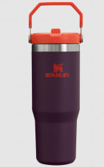 StanleyIceFlowFlipStrawTumbler089LPlum-20