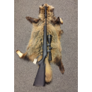 Demo CZ 455 17 hmr med leupold optik 3*9-50 med aim sport SOM NY 