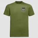 Jack Wolfskin Rainbow Paw T-Shirt - Cedar Green