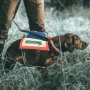 BarQ hundevest med GPS lomme