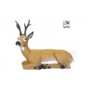 SRT Roebuck Bedded - Group 3