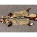 Brugt - Le National Haglgevær Kal 16/70 S/S