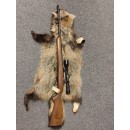 Brugt - Carl Gustav Riffel Kal 6,5x55