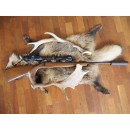 Brugt CZ 455 17HMR + 22LR - med dæmper + kikkert + pard 007