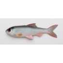 Pulz Bait Skinz Roach 15cm 2Pcs - Natural