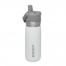 Stanley Flip Straw Water Bottle 0,65L - Polar