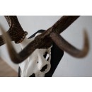 Torp Solution gulvstativ til kronhjort Sort