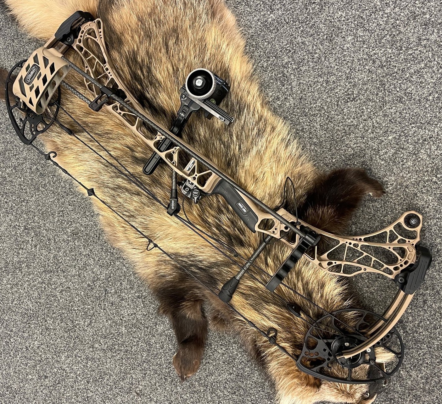 496944681_1212749587528762_2491288892811601018_n